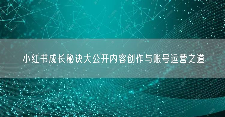 小红书成长秘诀大公开内容创作与账号运营之道