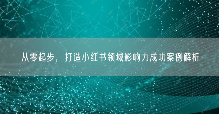 从零起步，打造小红书领域影响力成功案例解析