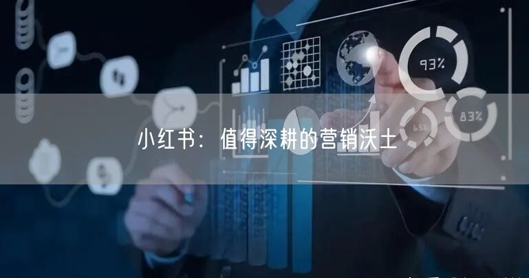 小红书：值得深耕的营销沃土