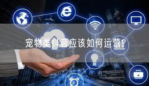 宠物类抖音应该如何运营？