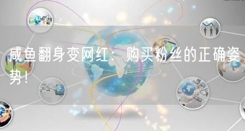 咸鱼翻身变网红：购买粉丝的正确姿势！