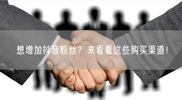 想增加抖音粉丝?来看看这些购买渠道!