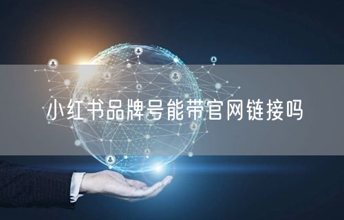 小红书品牌号能带官网链接吗