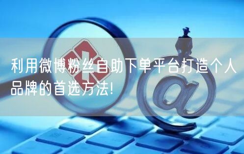 利用微博粉丝自助下单平台打造个人品牌的首选方法!