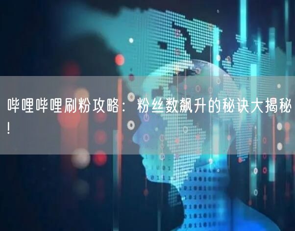 哔哩哔哩刷粉攻略：粉丝数飙升的秘诀大揭秘!