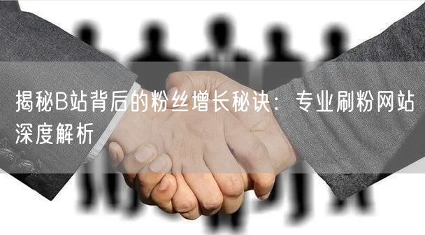 揭秘B站背后的粉丝增长秘诀：专业刷粉网站深度解析