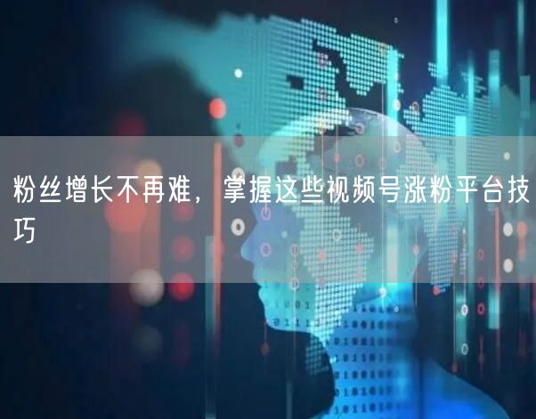 粉丝增长不再难,掌握这些视频号涨粉平台技巧