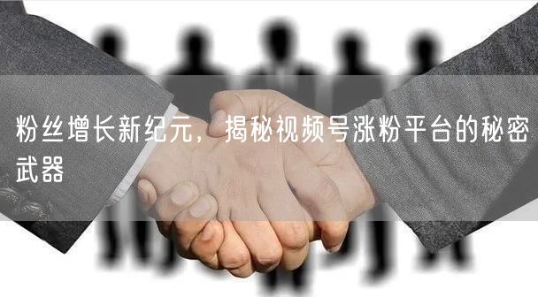 粉丝增长新纪元,揭秘视频号涨粉平台的秘密武器