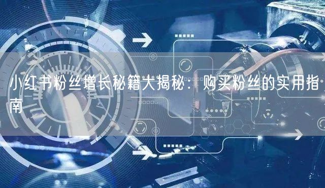小红书粉丝增长秘籍大揭秘：购买粉丝的实用指南