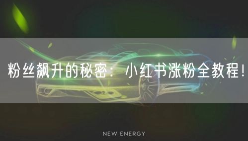 粉丝飙升的秘密：小红书涨粉全教程！