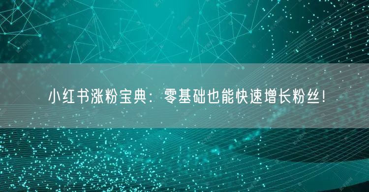 小红书涨粉宝典：零基础也能快速增长粉丝！