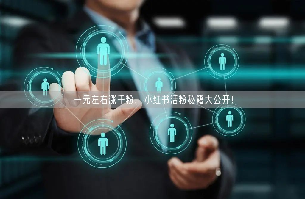 一元左右涨千粉，小红书活粉秘籍大公开！