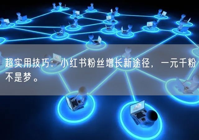 超实用技巧：小红书粉丝增长新途径，一元千粉不是梦。