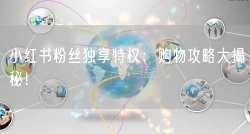 小红书粉丝独享特权：购物攻略大揭秘！