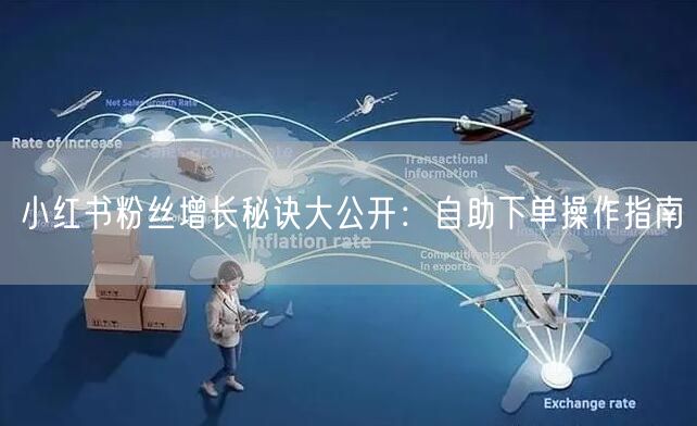 小红书粉丝增长秘诀大公开：自助下单操作指南
