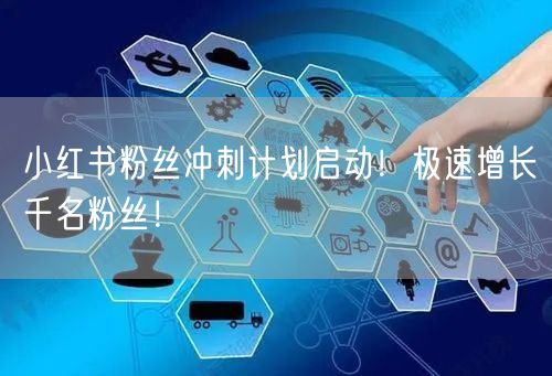 小红书粉丝冲刺计划启动！极速增长千名粉丝！