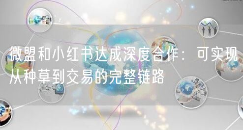 微盟和小红书达成深度合作：可实现从种草到交易的完整链路