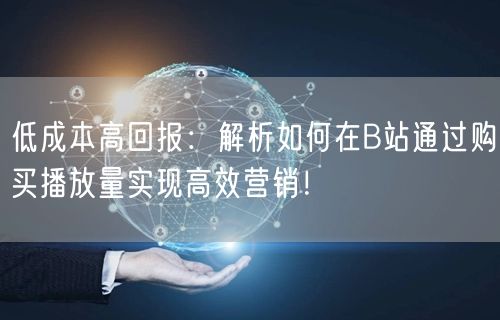 低成本高回报：解析如何在B站通过购买播放量实现高效营销！
