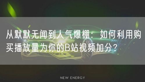 从默默无闻到人气爆棚：如何利用购买播放量为你的B站视频加分？