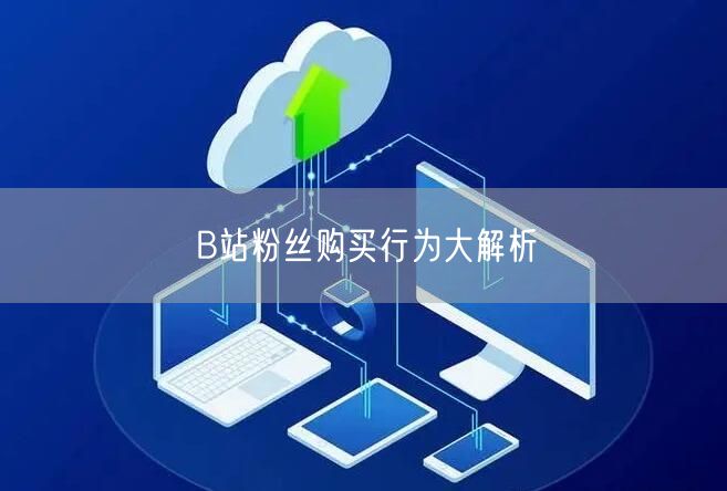 B站粉丝购买行为大解析