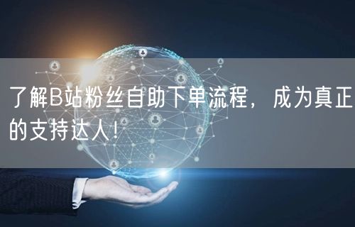 了解B站粉丝自助下单流程，成为真正的支持达人！