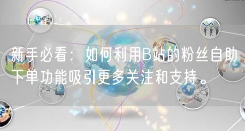 新手必看：如何利用B站的粉丝自助下单功能吸引更多关注和支持。