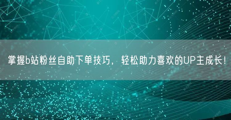 掌握b站粉丝自助下单技巧，轻松助力喜欢的UP主成长！