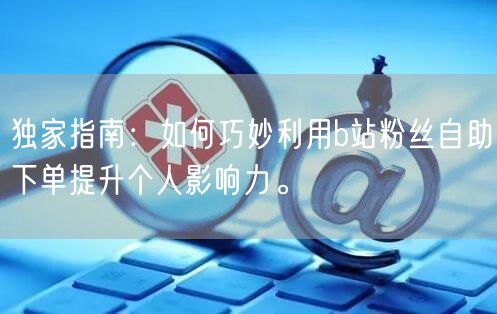 独家指南：如何巧妙利用b站粉丝自助下单提升个人影响力。