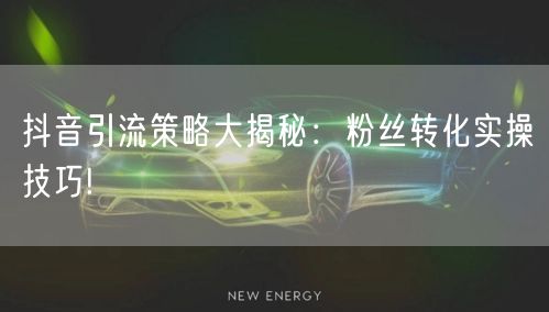 抖音引流策略大揭秘:粉丝转化实操技巧!