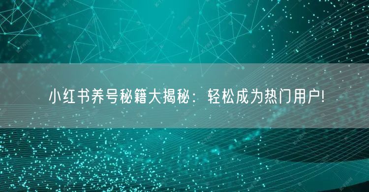 小红书养号秘籍大揭秘：轻松成为热门用户!