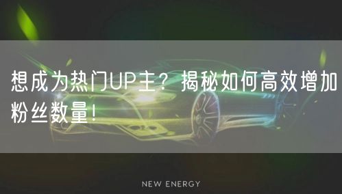 想成为热门UP主?揭秘如何高效增加粉丝数量!
