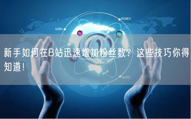 新手如何在B站迅速增加粉丝数?这些技巧你得知道!