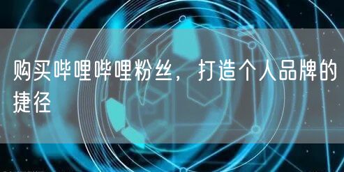 购买哔哩哔哩粉丝,打造个人品牌的捷径