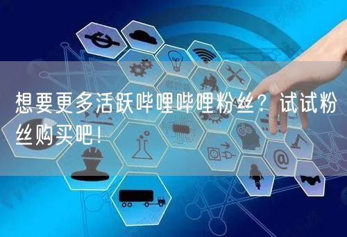 想要更多活跃哔哩哔哩粉丝?试试粉丝购买吧!