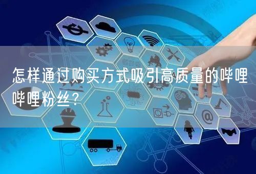 怎样通过购买方式吸引高质量的哔哩哔哩粉丝?