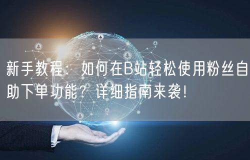 新手教程：如何在B站轻松使用粉丝自助下单功能？详细指南来袭！