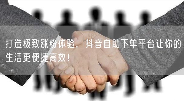 打造极致涨粉体验，抖音自助下单平台让你的生活更便捷高效！