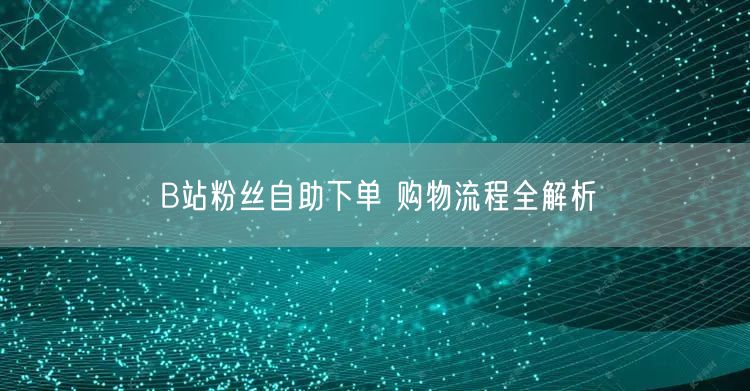 B站粉丝自助下单 购物流程全解析