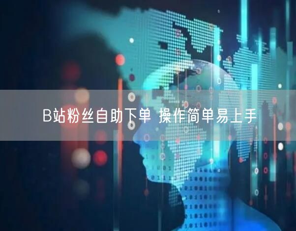 B站粉丝自助下单 操作简单易上手