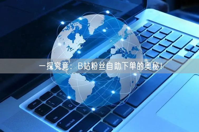 一探究竟：B站粉丝自助下单的奥秘！