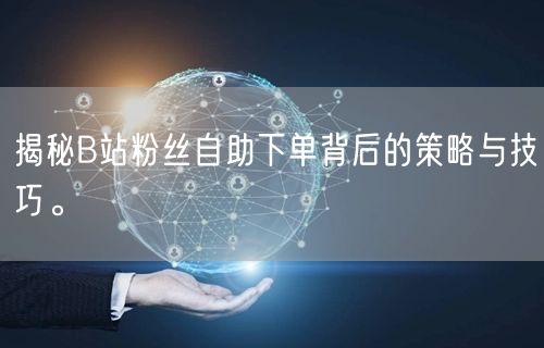 揭秘B站粉丝自助下单背后的策略与技巧。
