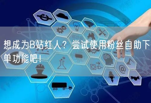 想成为B站红人？尝试使用粉丝自助下单功能吧！