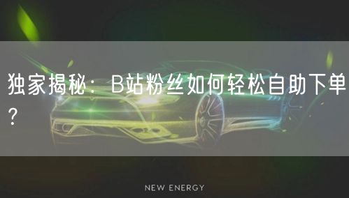 独家揭秘：B站粉丝如何轻松自助下单？