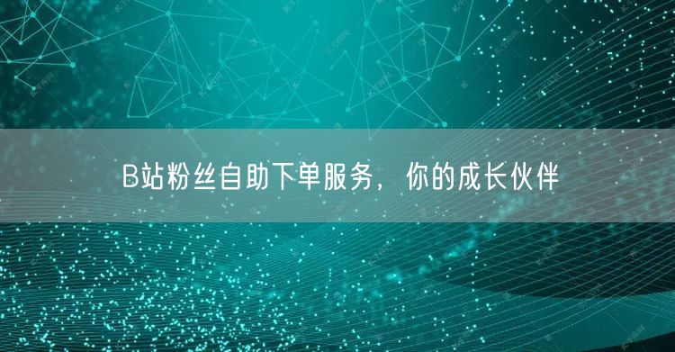 B站粉丝自助下单服务，你的成长伙伴