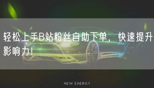 轻松上手B站粉丝自助下单，快速提升影响力！