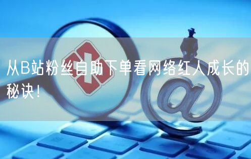 从B站粉丝自助下单看网络红人成长的秘诀！