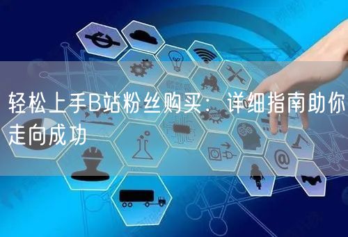 轻松上手B站粉丝购买：详细指南助你走向成功