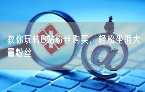 教你玩转B站粉丝购买，轻松坐拥大量粉丝