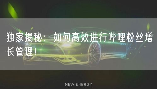 独家揭秘：如何高效进行哔哩粉丝增长管理！