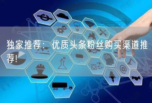 独家推荐：优质头条粉丝购买渠道推荐!